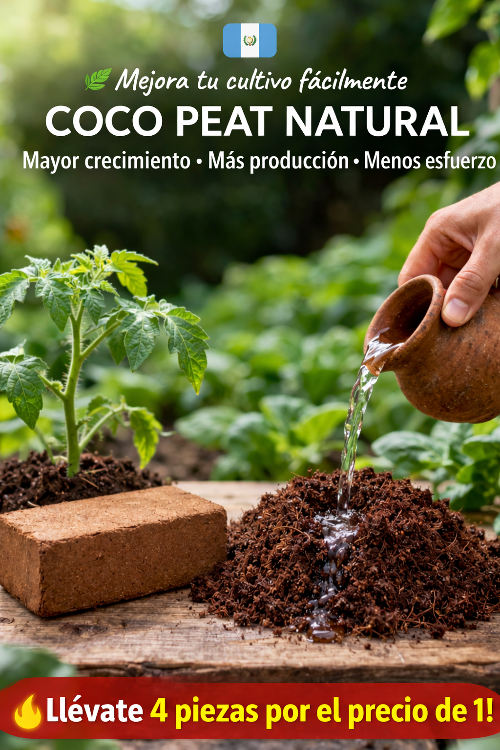 🥥 Fibra de coco natural para plantas más fuertes y sanas